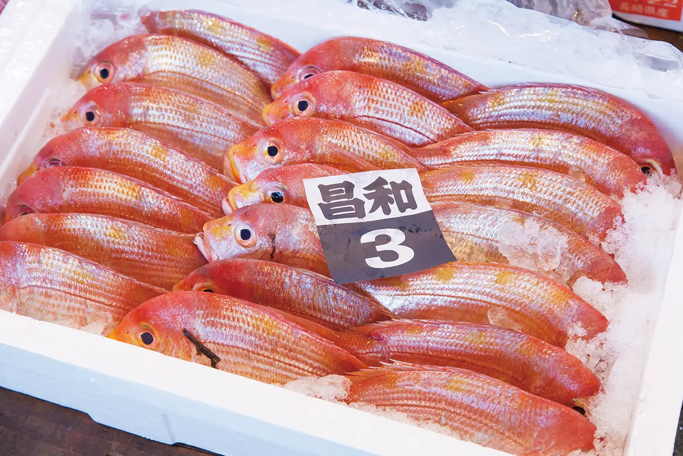 鮮魚